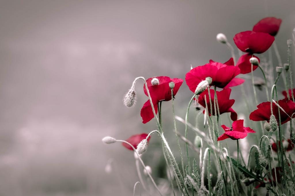 How long is the moment of silence on remembrance day