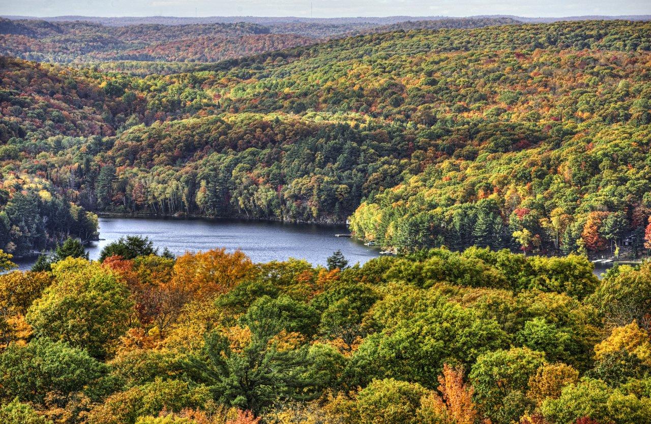 Image of Algonquin Park