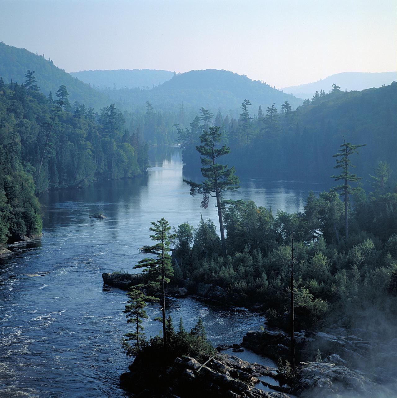 Picture of lake and forest 