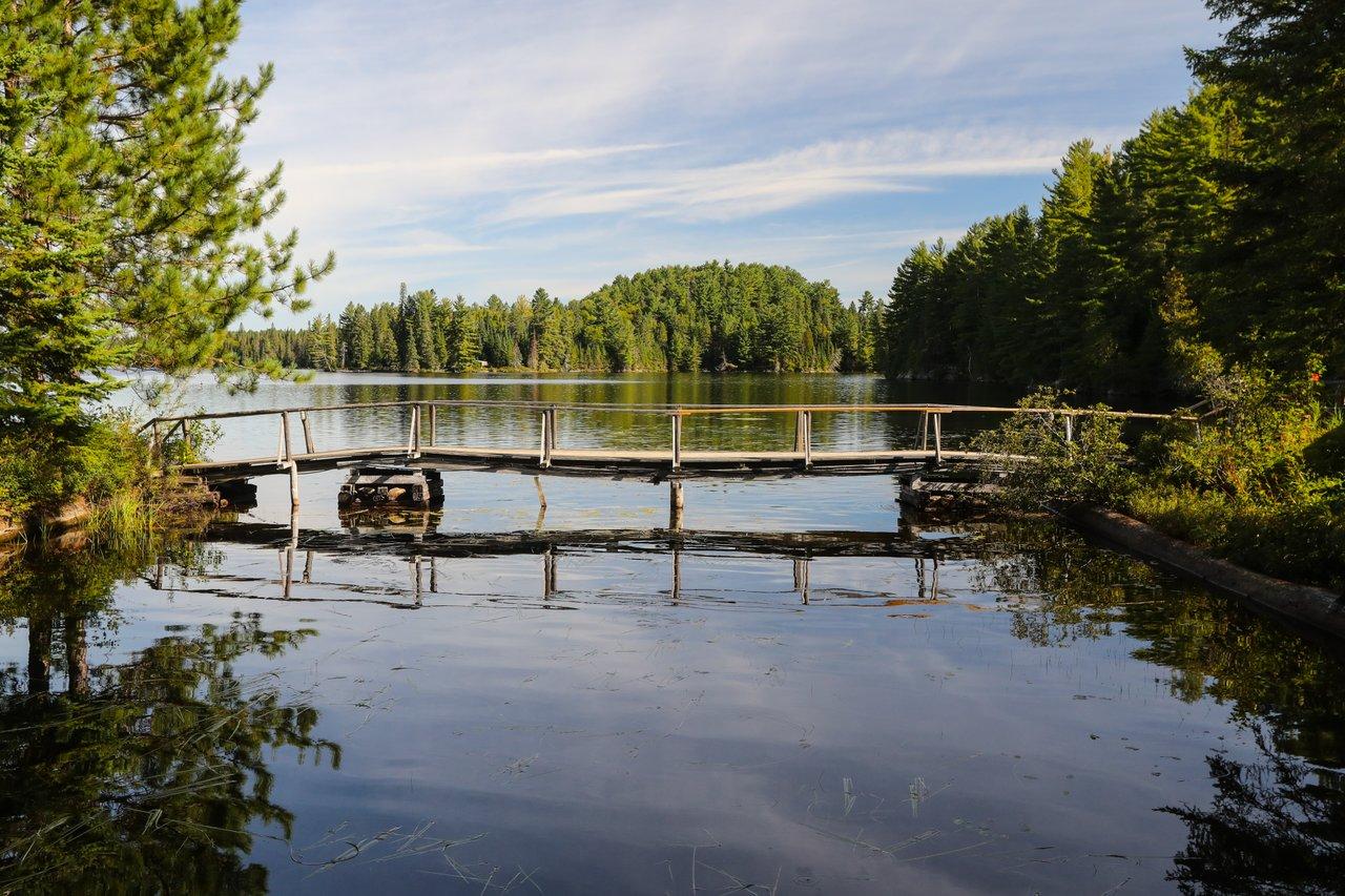 Shot of Algonquin Park 