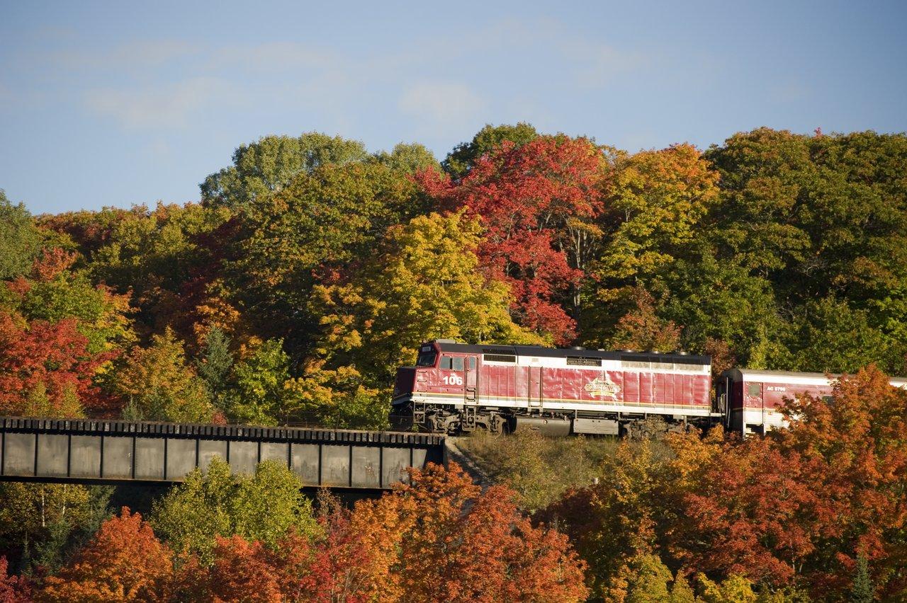 Image of Train going out of fall forest 