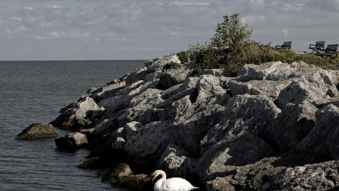 Image of a Stone Island in Barrie courtesy of Sofia Velgosh on Unsplash