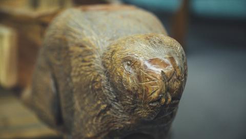 image of beaver sculpture